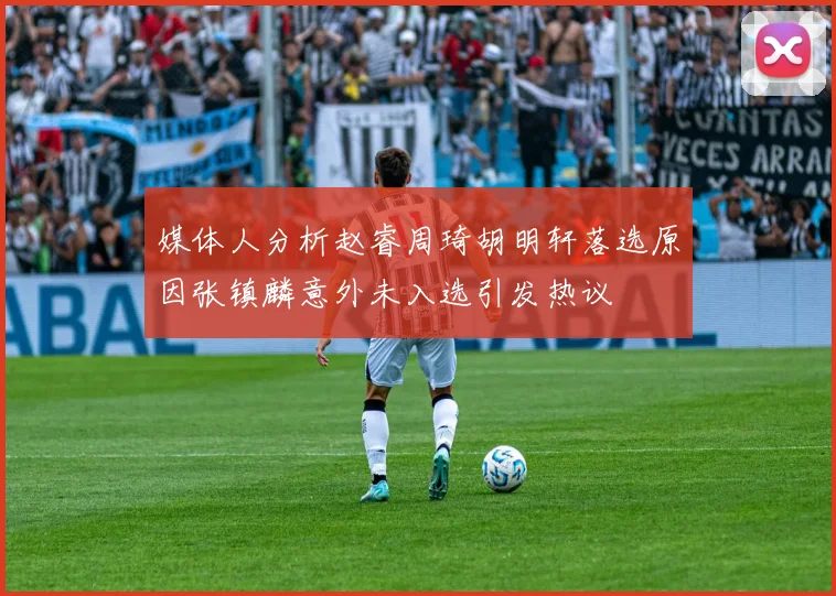 媒体人分析赵睿周琦胡明轩落选原因张镇麟意外未入选引发热议